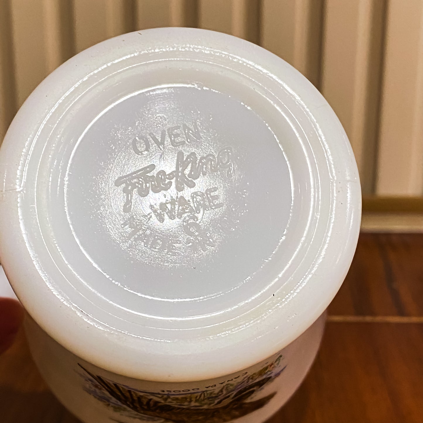 FireKing Wildlife D-Handle Canada Goose Mug (W5)