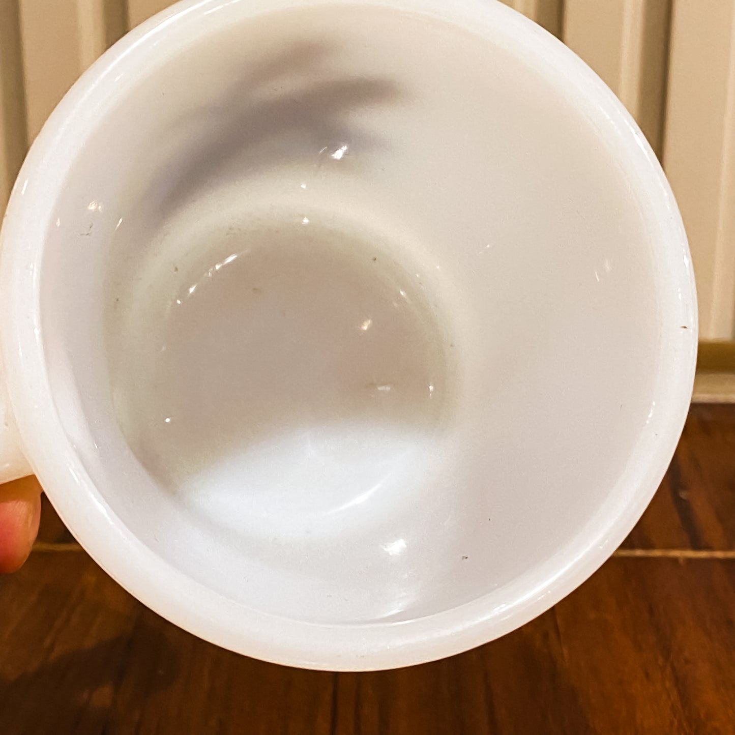 FireKing Wildlife D-Handle Canada Goose Mug (W5)