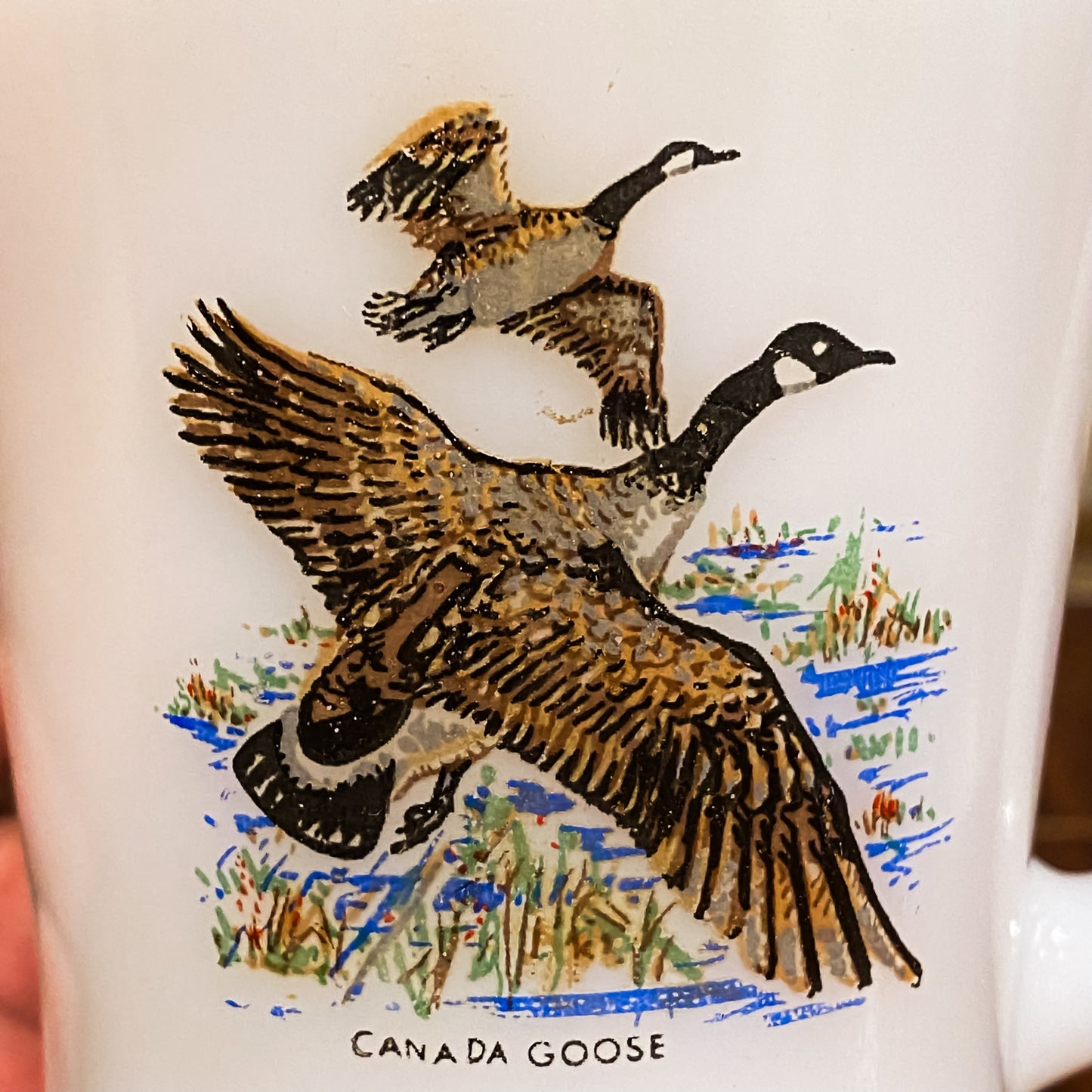 FireKing Wildlife D-Handle Canada Goose Mug (W5)