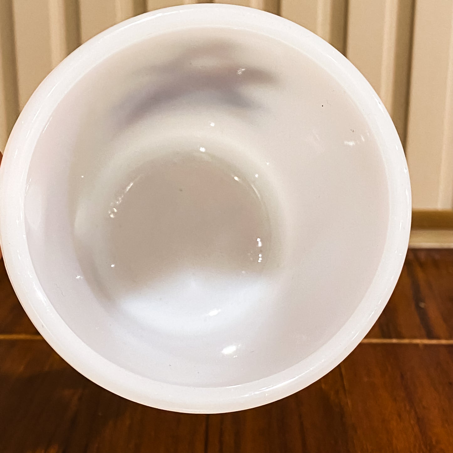 FireKing Wildlife D-Handle Canada Goose Mug (W6)