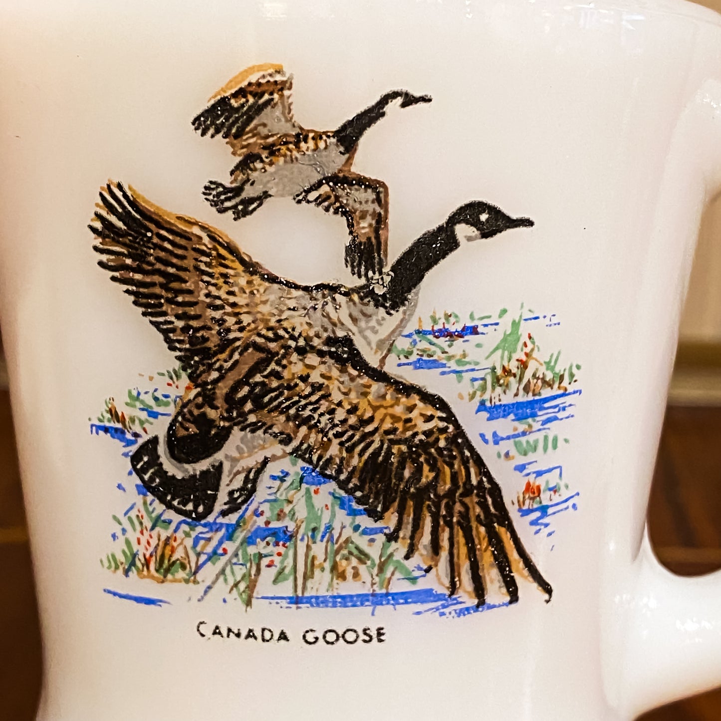FireKing Wildlife D-Handle Canada Goose Mug (W6)