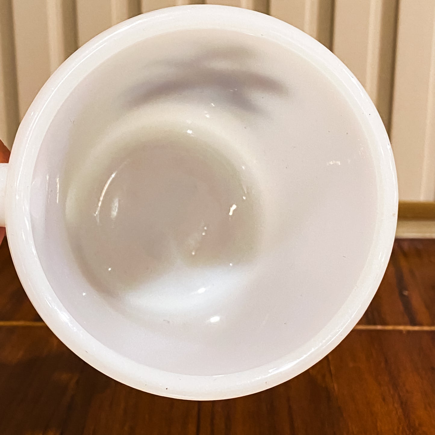 FireKing Wildlife D-Handle Canada Goose Mug (W7)