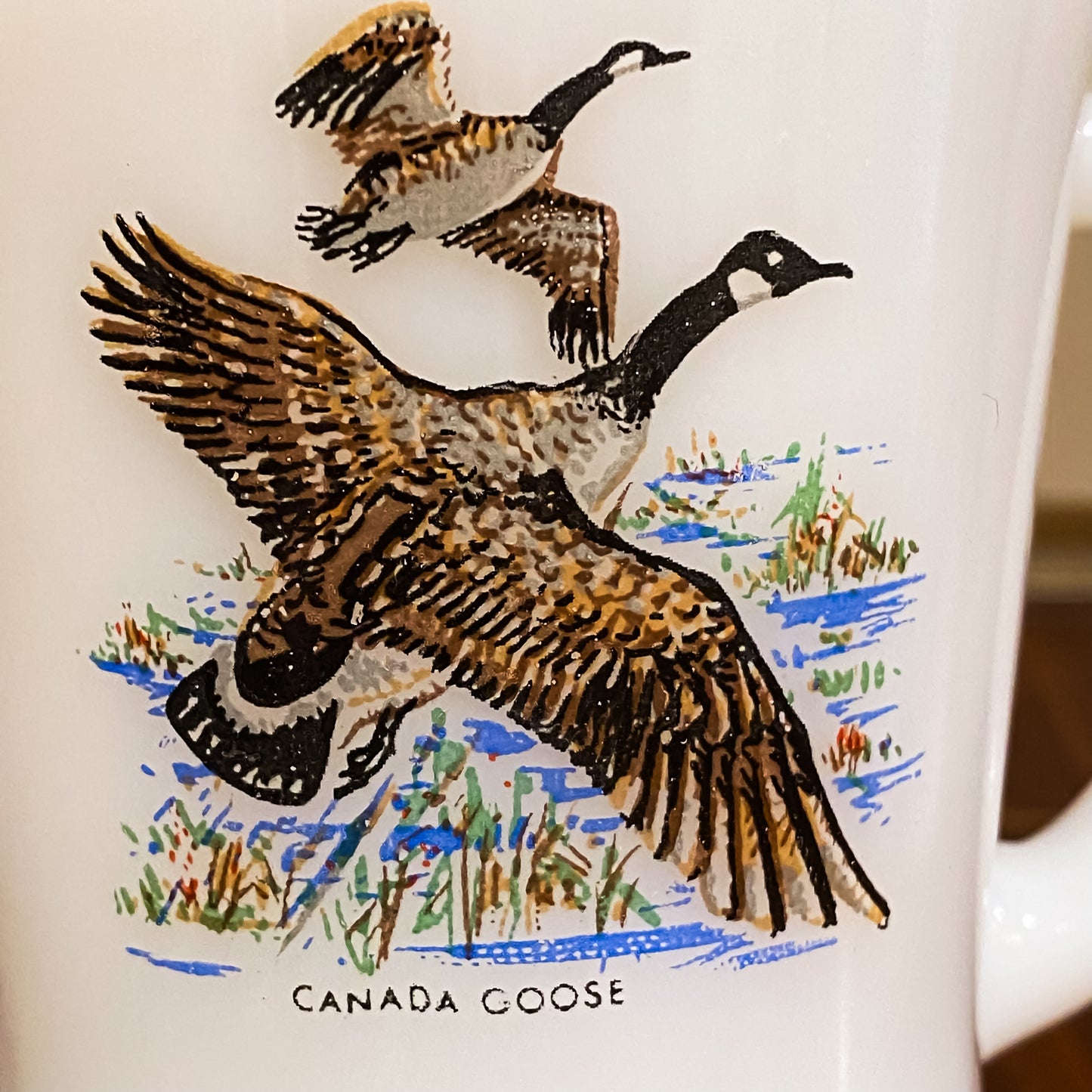 FireKing Wildlife D-Handle Canada Goose Mug (W8)