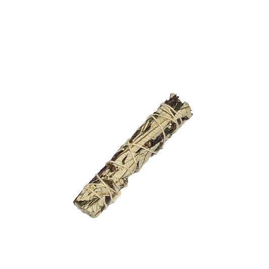mini Yerba Santa Sage